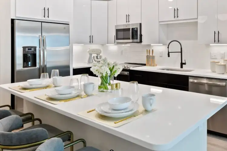 Beautiful Kitchen with Quartz Countertops in Lillington NC